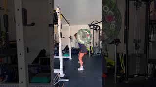 Barbell back squat [upl. by Tan]