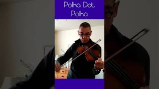 Polka Dot Polka celtic violin fiddle [upl. by Aros]