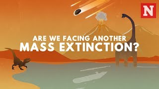 Are We Facing Another Mass Extinction Event [upl. by Hirasuna847]