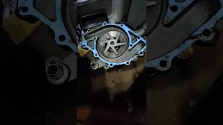 Ford 460 water pump installation gaskets plate [upl. by Croom359]