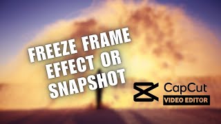 ✅ Freeze Frame Effect or Snapshot Effect  CapCut PC Tutorial  2024 [upl. by Seabrook182]