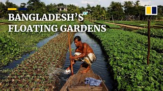 Floating farms in Bangladesh enables yearround farming [upl. by Giana520]