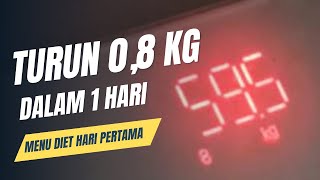 Menu Diet Hari Pertama Turun 08 Kg Dalam Sehari Dengan Telur [upl. by Oinesra841]