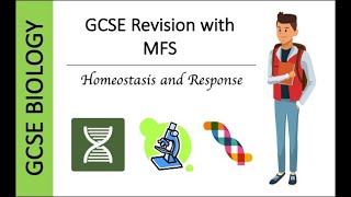 GCSE Biology Paper 2 Revision 2023 Plant Hormones [upl. by Ap]