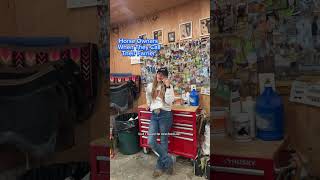 Us Horse owners are so grateful to the farriers of the world horses farrier horsecare comedy [upl. by Rehtae]