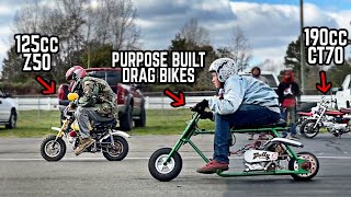 Drag Racing with our 5 FASTEST Mini Bikes 190cc CT70 225cc Mega Moto 108cc Z50  More [upl. by Bortman]