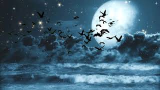 Amazing Night Sky With Moon Clouds Sta And Flapping Bird  Stock Video Background [upl. by Sophey]