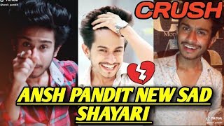 Ansh pandit tiktok shayari  Ansh pandit new sad shayari  crush shayari [upl. by Oribella]