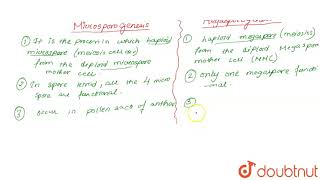 Differentiate between microsporogenesis and megasporogenesis Which type of [upl. by Anicul]