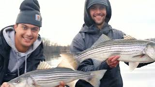 Winter Stripes New England Holdover Striped Bass Fishing [upl. by Sloan]