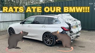 DID WE WASTE £10K BUYING A CAR AT COPART SALVAGE AUCTION PT2 [upl. by Ahsaela]