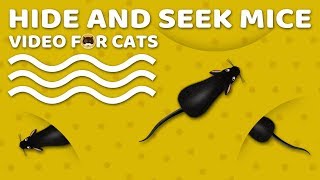 CAT GAMES MOUSE  Hide and Seek Mice Video for Cats to Watch  CAT amp DOG TV [upl. by Oira]