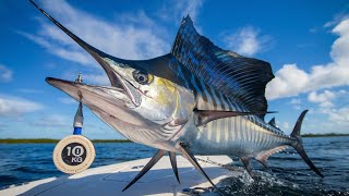 The Sailfish Challenge  Catching The Worlds FASTEST FISH   River Monsters [upl. by Rekab313]