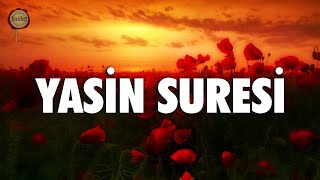 Yasin Suresi  fussilet Kuran Merkezi [upl. by Outlaw]