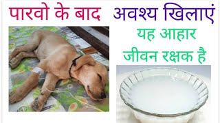 Parvo Virus Recovery Diet Plan for Puppy by DrSKMishra in Hindi [upl. by Tiras]