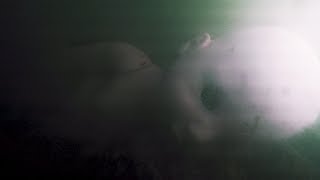 Exploring Haunted Underwater Lake HAUNTED DOLL ENCOUNTER [upl. by Anoit]