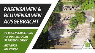 Rasenneuanlage  Bodenbearbeitung  Rasensamen aussäen  Blumenwiese anlegen  Rasen sanden [upl. by Elohcan]