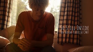 So Still Inside an Adam Parrish CMV The Raven Cycle [upl. by Novaelc]