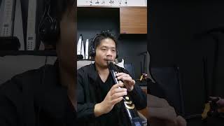 INGPARTNER i9 EWI S Brass tones play the song quot祈祷quot [upl. by Morel]