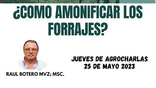 Â¿Como amonificar los forrajes [upl. by Ominorej]