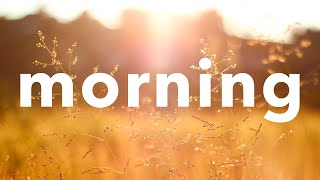 🌾 Morning Chill No Copyright Free Relax Background Music for Aesthetic Videos  A New Day by shandr [upl. by Inatirb876]