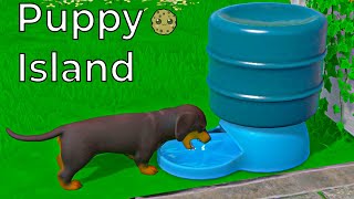 New Puppy Island Shopping  Dogs  And Area [upl. by Lanita]