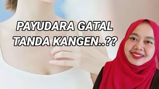 PAYUDARA GATAL TANDA KANGEN BENARKAH APA PENYEBABNYA [upl. by Declan]