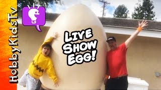 Giant LiVE SHOW Egg  Surprise Toys with HobbyKidsTV [upl. by Leimaj566]