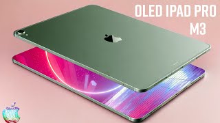 OLED iPad Pro M3 Price and Release Date  March 2024 Still to come [upl. by Ardnek399]