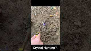 I found some purple stones while digging by the seacrystals crystalstonecrystalhunting [upl. by Norwood]