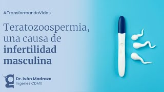 Teratozoospermia La forma de los espermatozoides SÍ cuenta  Ingenes [upl. by Lona928]