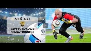 CHAOUCHI Faouzi ● Crazy Skills amp Saves ● 2019 HD 🔥 [upl. by Tamar289]