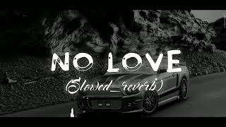 NO LOVE Slowedreverb shubh [upl. by Tal458]