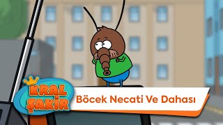 Böcek Necati ve Dahası  Kral Şakir [upl. by Adiel]