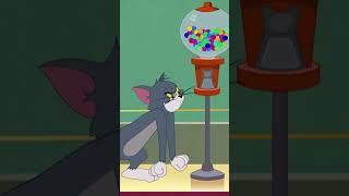 Pas de chewinggum pour Tom 🐱 Tometjerry humour shorts [upl. by Dorice466]