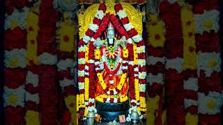 Venkatesha godsongsdevotional songsgovind Govinda🙏Jethu SanuWorld [upl. by Middle]