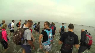 Wadlopen HolwerdAmeland 2014 [upl. by Nahsaj]