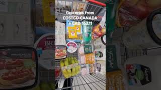 Grocery shopping  Costco groceryshopping onsale costco smallyoutuber [upl. by Lahey]