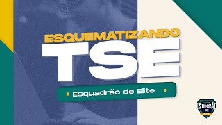 Esquematizando TSE  Gestão de Contratos  Prof Thallius Moraes [upl. by Malamud289]