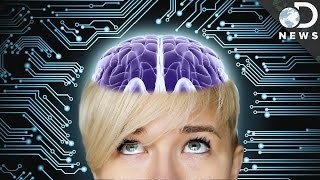 Can The Human Brain Be Reprogrammed [upl. by Opalina274]