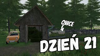 Zainwestowałem w OWCE Farming Simulator 22 Dzień 21 [upl. by Latsyrhk130]