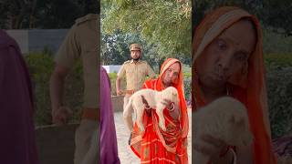 Dadi Dog par kiya kesh 🤣 shorts RamRamJi suspense comedy funny RRJ [upl. by Gilliam]