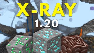 SIMPLE XRay Glitch 120 Minecraft Bedrock  NO MODS  PE PS4 Xbox Switch Windows 10 [upl. by Ssalguod]