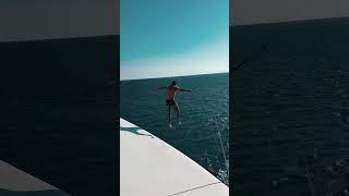 Dive into Fun kitesafari boatlife yachtlife yacht travel lakelife [upl. by Eceinert643]