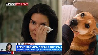 Angie Harmon Tearfully Speaks Out After Driver Shoots Dog [upl. by Afrikah]