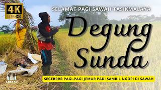 SEGERRRR PAGI PAGI JEMUR PADI SAMBIL NGOPI DI SAWAH  DEGUNG SUNDA [upl. by Edina]