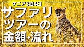 【アフリカ旅行】サファリツアー！料金や流れ、ナイロビの治安やマサイ族の村のレポートも【ケニア海外旅行】 [upl. by Oiramed838]