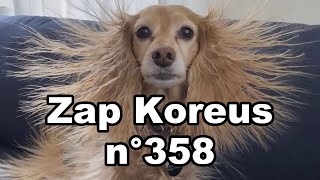 Zap Koreus n°358 [upl. by Hailed124]