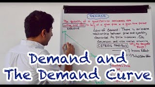 Y1 3 Demand and the Demand Curve [upl. by Arodal]