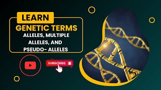 Genetic Terms Alleles Multiple Alleles and Pseudoalleles [upl. by Von]